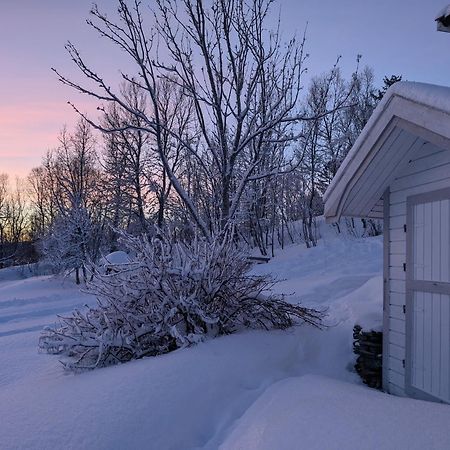 Cabin Magic On Senja, Atmosphere Like A Fairytale Botnhamn Zewnętrze zdjęcie