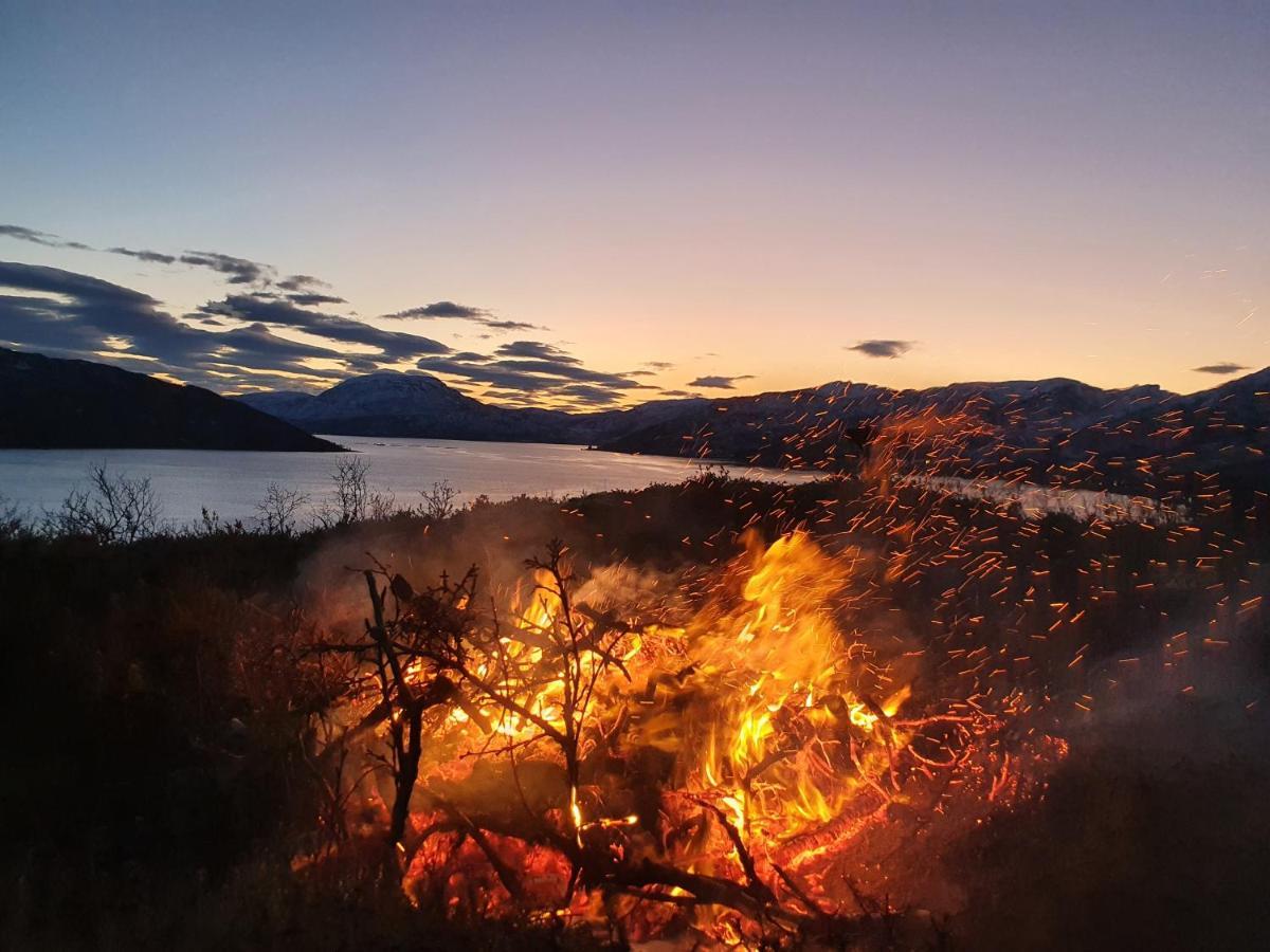 Cabin Magic On Senja, Atmosphere Like A Fairytale Botnhamn Zewnętrze zdjęcie