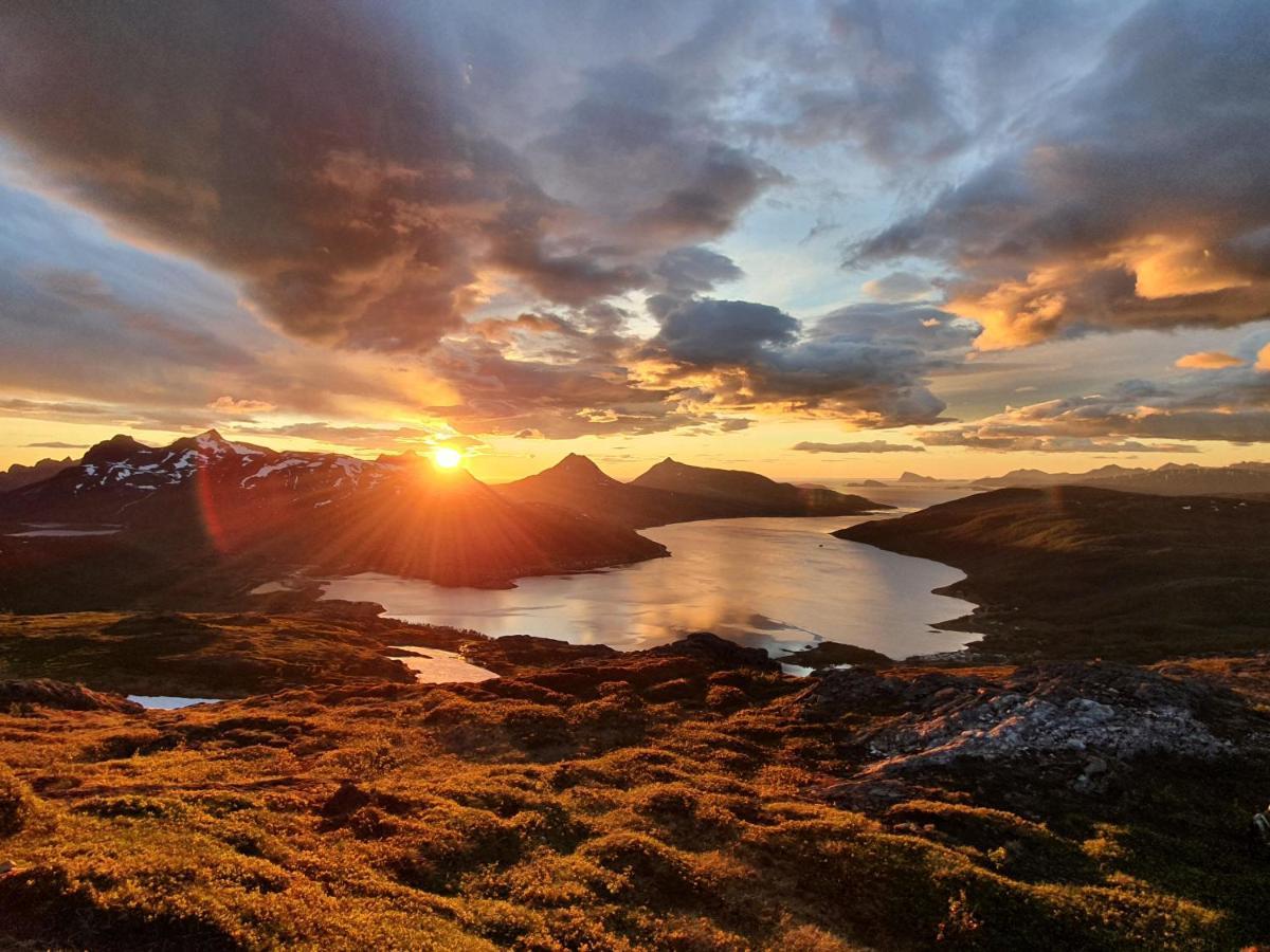 Cabin Magic On Senja, Atmosphere Like A Fairytale Botnhamn Zewnętrze zdjęcie