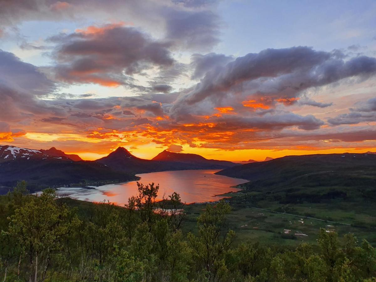 Cabin Magic On Senja, Atmosphere Like A Fairytale Botnhamn Zewnętrze zdjęcie