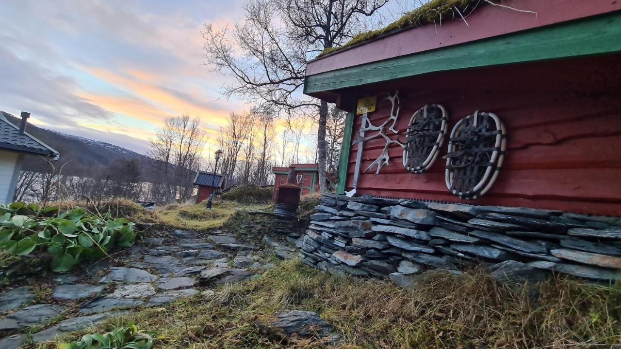 Cabin Magic On Senja, Atmosphere Like A Fairytale Botnhamn Zewnętrze zdjęcie
