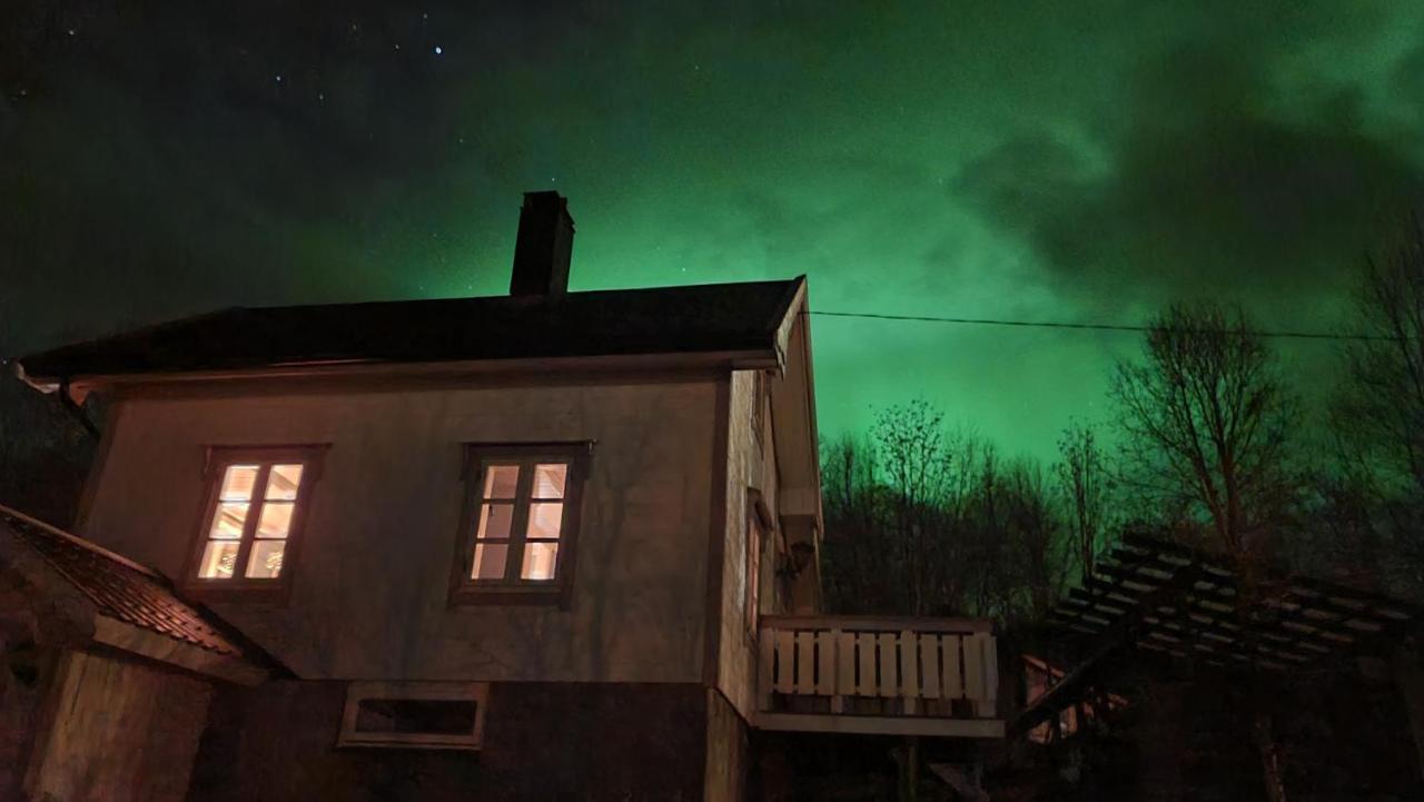 Cabin Magic On Senja, Atmosphere Like A Fairytale Botnhamn Zewnętrze zdjęcie