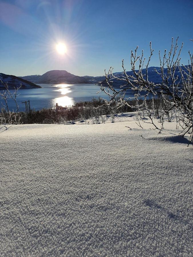 Cabin Magic On Senja, Atmosphere Like A Fairytale Botnhamn Zewnętrze zdjęcie