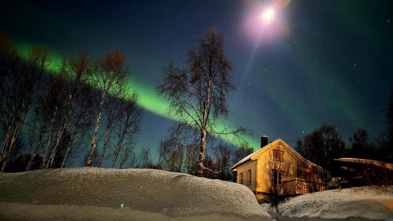 Cabin Magic On Senja, Atmosphere Like A Fairytale Botnhamn Zewnętrze zdjęcie