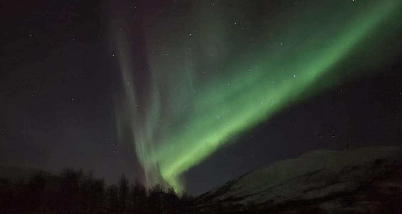 Cabin Magic On Senja, Atmosphere Like A Fairytale Botnhamn Zewnętrze zdjęcie