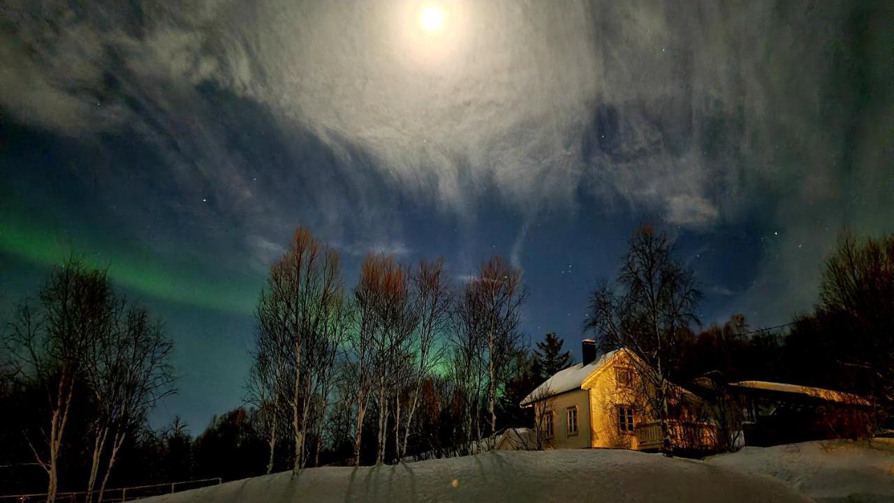 Cabin Magic On Senja, Atmosphere Like A Fairytale Botnhamn Zewnętrze zdjęcie