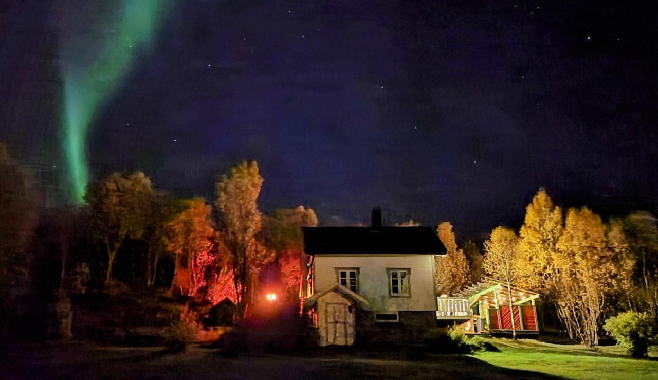 Cabin Magic On Senja, Atmosphere Like A Fairytale Botnhamn Zewnętrze zdjęcie