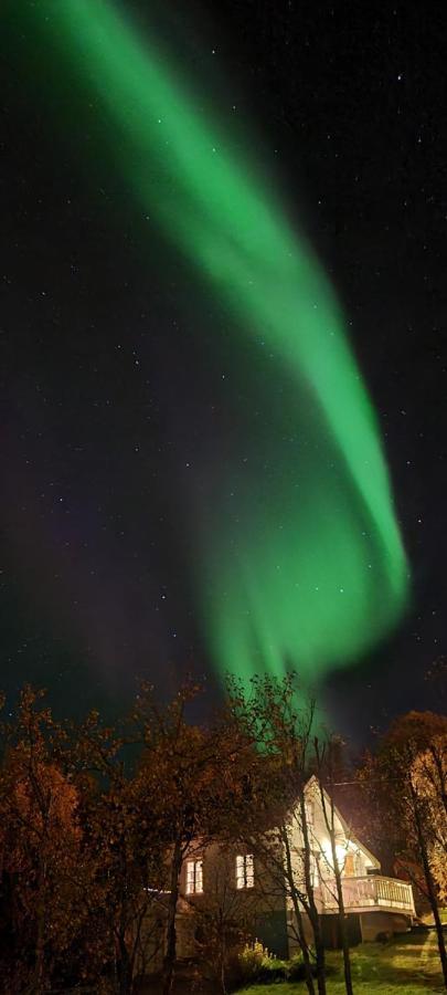 Cabin Magic On Senja, Atmosphere Like A Fairytale Botnhamn Zewnętrze zdjęcie