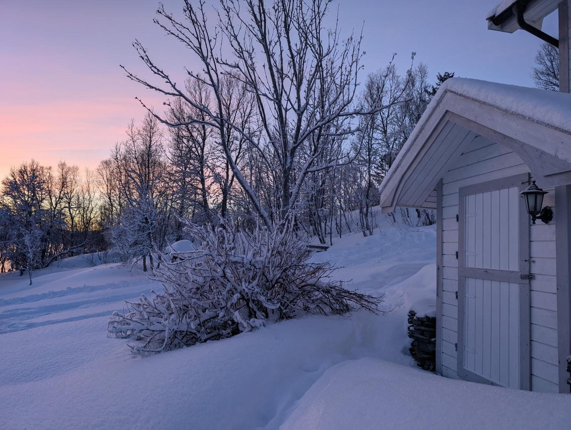 Cabin Magic On Senja, Atmosphere Like A Fairytale Botnhamn Zewnętrze zdjęcie